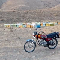 موتور مزایده ۱۵۰