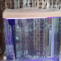 آکواریوم ماهیران