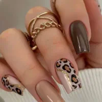 کاشت ترمیم فقط 290