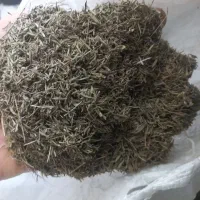 آویشن باریک دنایی)معطر و سبز.و پهن تمیز