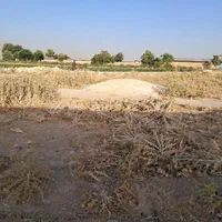 زمین مخصوص باغ.گاوداری.کارگاه.در روستا کناره مناسب|فروش زمین و ملک کلنگی|مرودشت, کناره|دیوار