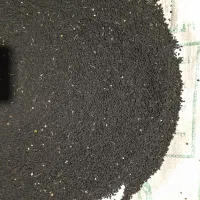 بذر پیاز قرمز