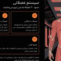 ساخت پاورپوینت|خدمات رایانهای و موبایل|یزد, |دیوار