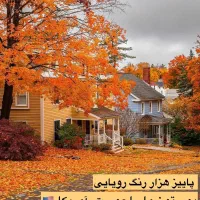 دنبال کار غیر حضوری هستم.