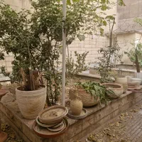 واحد مسکونی ۱ خواب میباشد