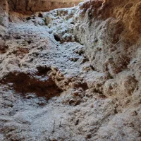 کاه گندم|لوازم جانبی حیوانات|زاگرس, |دیوار