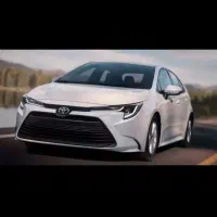 علاقمندان به طبیعت و پیاده روی