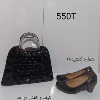 کیف و کفش|کیف، کفش، کمربند|آمل, |دیوار