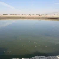 اجاره زمین کشاورزی|اجارهٔ دفتر صنعتی، کشاورزی، تجاری|مرودشت, محمد آباد|دیوار