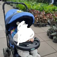 کالسکه کودک سالم وتمیز