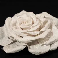 اموزش گل های کوتور