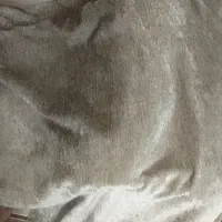 باسلام پرده مخمل تمیز وسالم به فروش میرسد