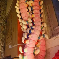 عروسک هزارپا