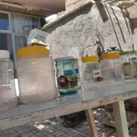 ظروف پلاستیکی و شیشه ای