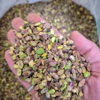 مغز پسته شیر پسته و بستنی