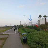 آپارتمانی متفاوت در ابتدای خ پاسداران بندرانزلی