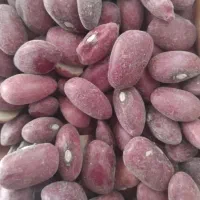 فروش لوبیا قرمز تازه