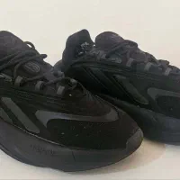 کتونی آدیداس|کیف، کفش، کمربند|شیراز, آزادی|دیوار