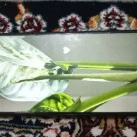 گوشی مدل A21S