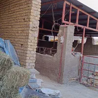 اجاره دامداری۶۰۰ متر دارای دوربین مدار بسته|اجارهٔ دفتر صنعتی، کشاورزی، تجاری|گلپایگان, |دیوار