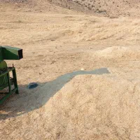 کاه سفید و سبز دس بر|حیوانات مزرعه|همایجان, |دیوار