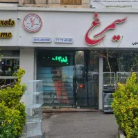 انواع طوطیسانان کاسکو راهب گرین چیک کاکادو