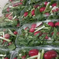 کارگر سبزیجات آماده