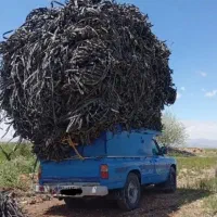خریدار نوار طیف