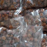 آلوی خورشتی طرقبه آفتابی درجه یک|خوردنی و آشامیدنی|تهران, مجیدیه|دیوار