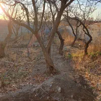 باغچه-سندتک-برگ-برای-ساخت-ویلا