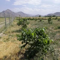 فروش باغ 5000متری قطره ای