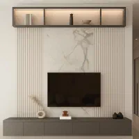 اجرای تخصصی TV وال