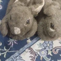 دمپایی رو فرشی