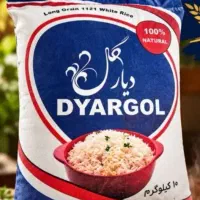 استخدام ویزیتور