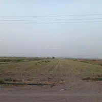 فروش ۷/۵ هکتار در شهید بهشتی|فروش دفتر صنعتی، کشاورزی، تجاری|قم, حنیف نژاد|دیوار