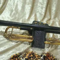 کاور ترومپت|سازهای بادی|نیشابور, رحمت آباد|دیوار