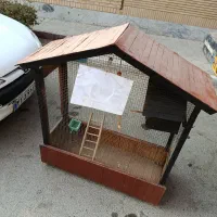 قفس چوبی عروس هلندی|لوازم جانبی حیوانات|رضویه, |دیوار