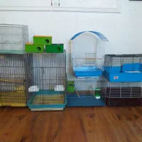 انواع اقسام قفس کاسکو طوطی مینا عروس مرغ عشق