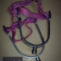 لوازم سوارکاری|اسب و تجهیزات اسب‌سواری|مشهد, شاهد (شهرک غرب)|دیوار