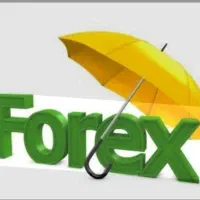 چتر حمایتی فارکس