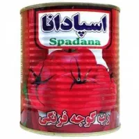 ویزیتور حضوری
