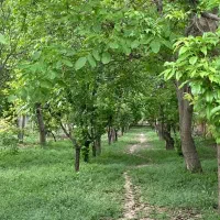 فروشنده واقعی