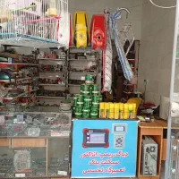 تعمیرگاه تخصصی انواع موتور سیکلت ها