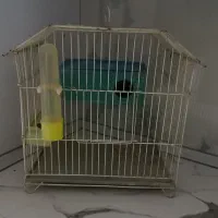 قفس سالم هستش دوماه بیشتر پرنده نداشتیم