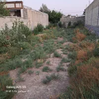 معاوضه زمین۲۶۰متری دارای سندتکبرگ باخودرو اروندی|فروش زمین و ملک کلنگی|باغ ملک, |دیوار