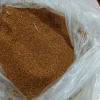 خاکشیر