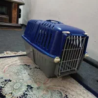 قفس گربه و سگ