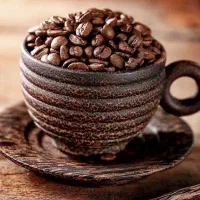 عمده‌‌قهوه‌وتجهیزات