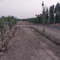 300متر باغچه فیروز بهرام شهاب شهر فاز ۳|فروش زمین و ملک کلنگی|تهران, شهرک طالقانی|دیوار