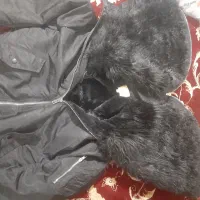 کاپشن پرواز اسپورت نو وشیک|لباس|شیراز, ده پیاله|دیوار